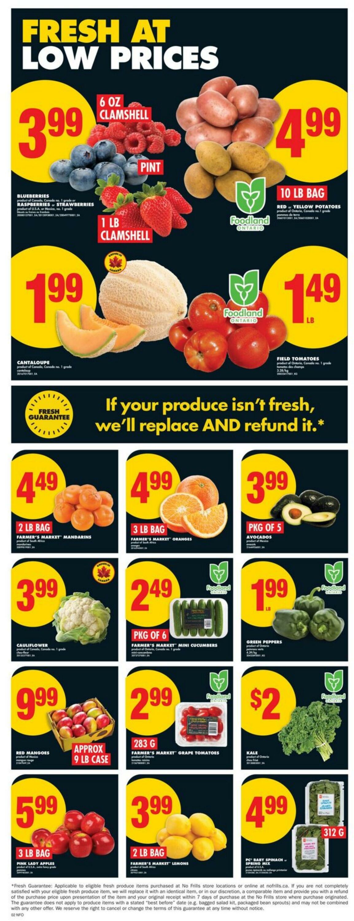 Flyer No Frills 14.08.2025 - 20.08.2025
