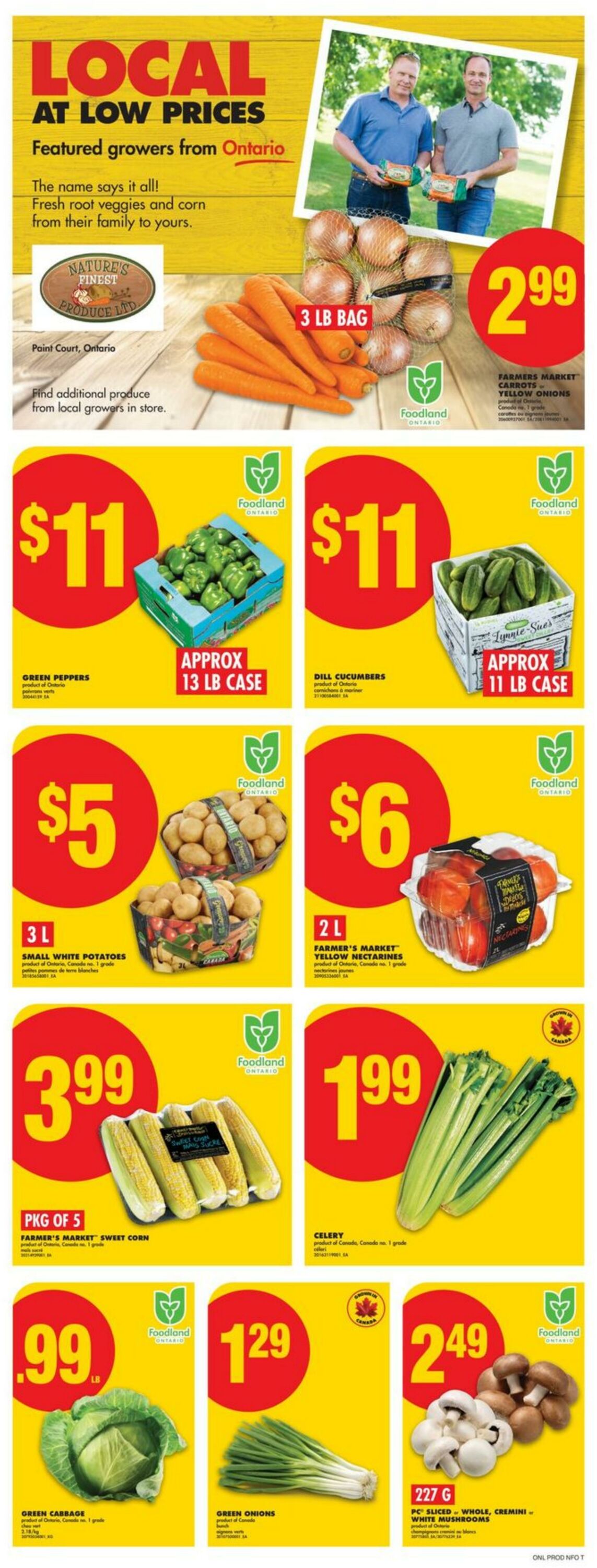 Flyer No Frills 14.08.2025 - 20.08.2025
