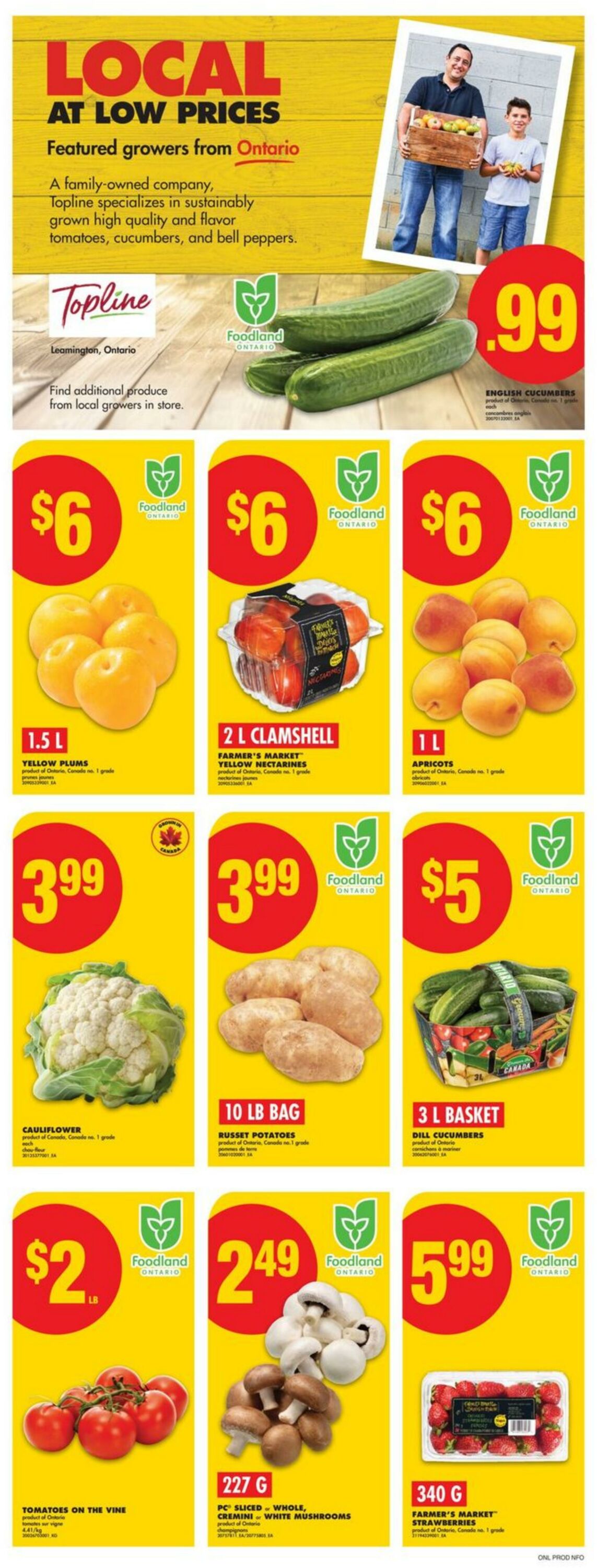 Flyer No Frills 24.07.2025 - 30.07.2025