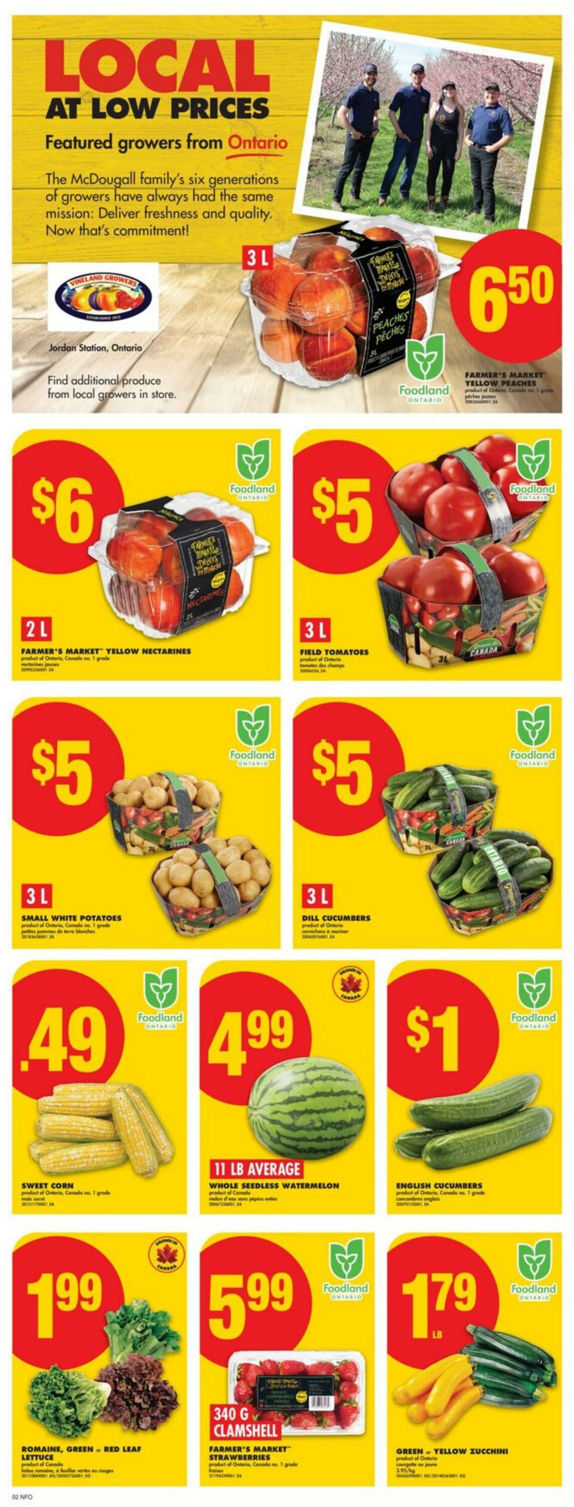 Flyer No Frills 07.08.2025 - 13.08.2025