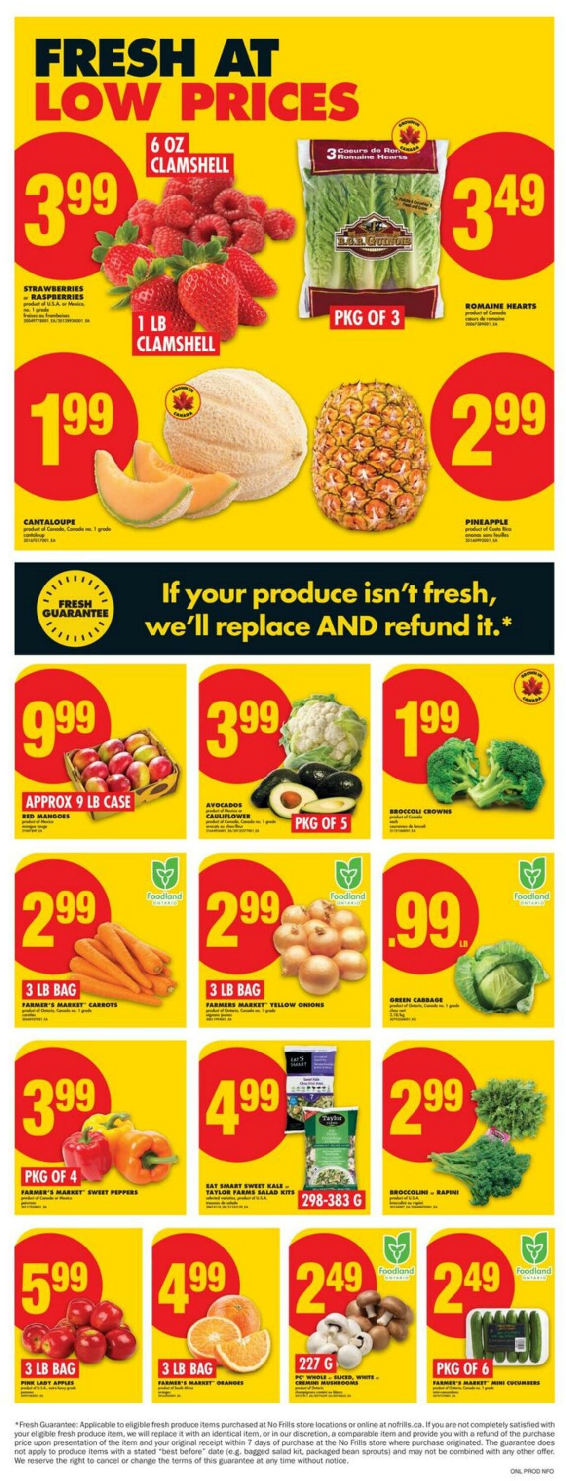 Flyer No Frills 07.08.2025 - 13.08.2025