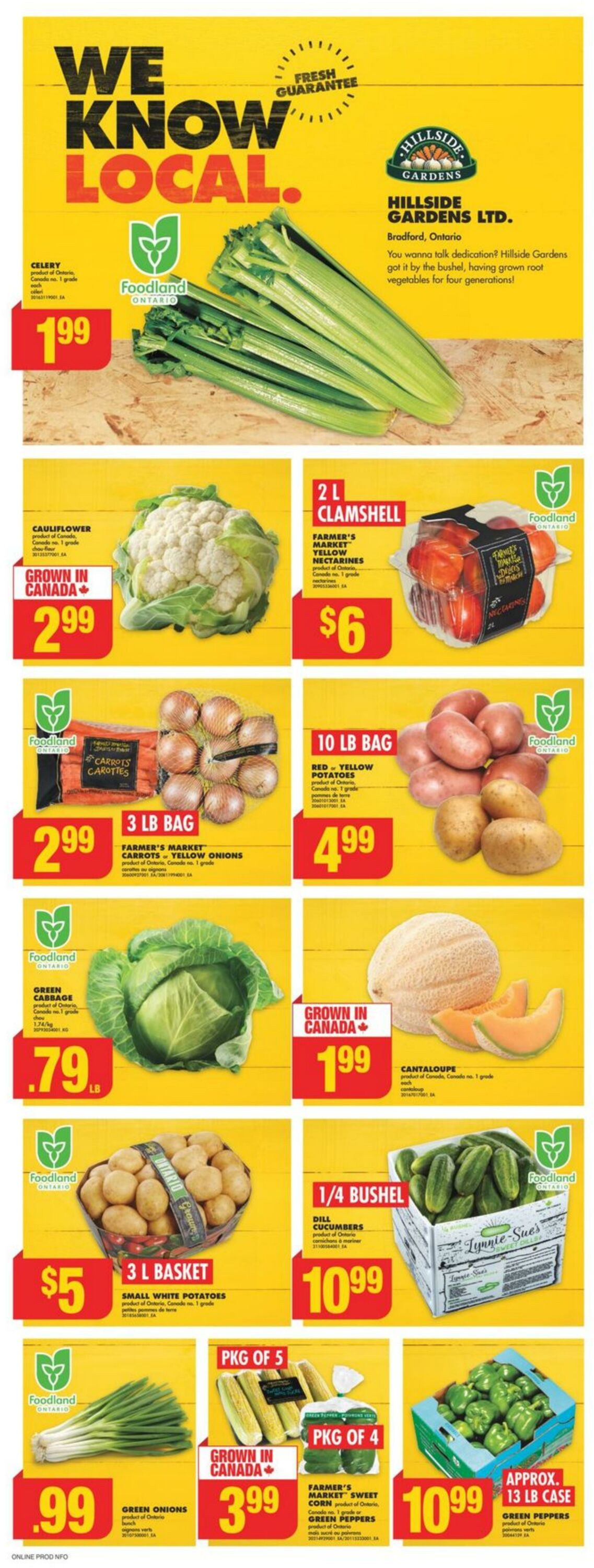 Flyer No Frills 15.08.2024 - 21.08.2024