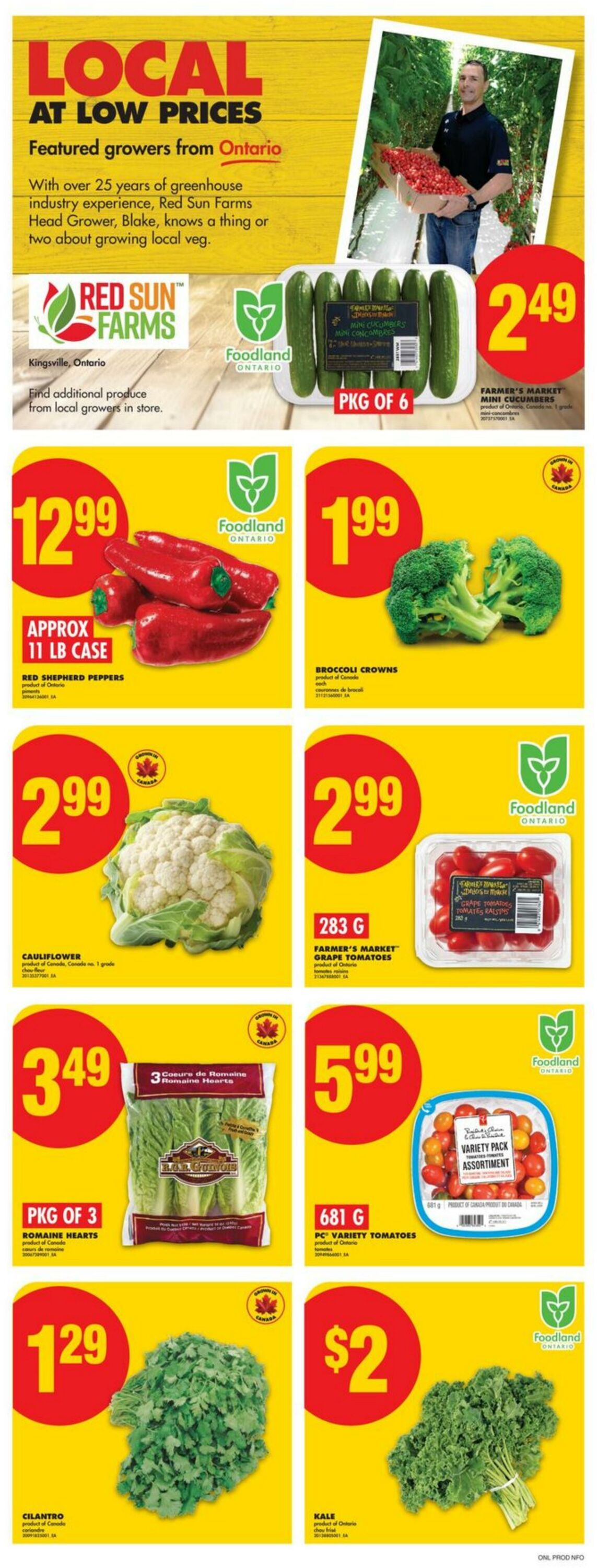 Flyer No Frills 11.09.2025 - 17.09.2025