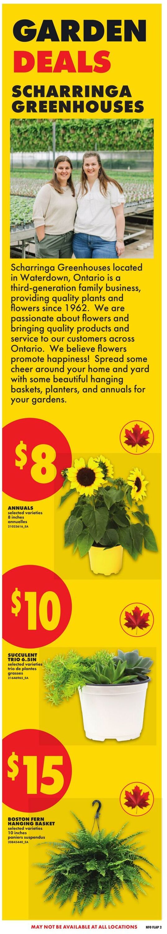 Flyer No Frills 28.05.2026 - 03.06.2026