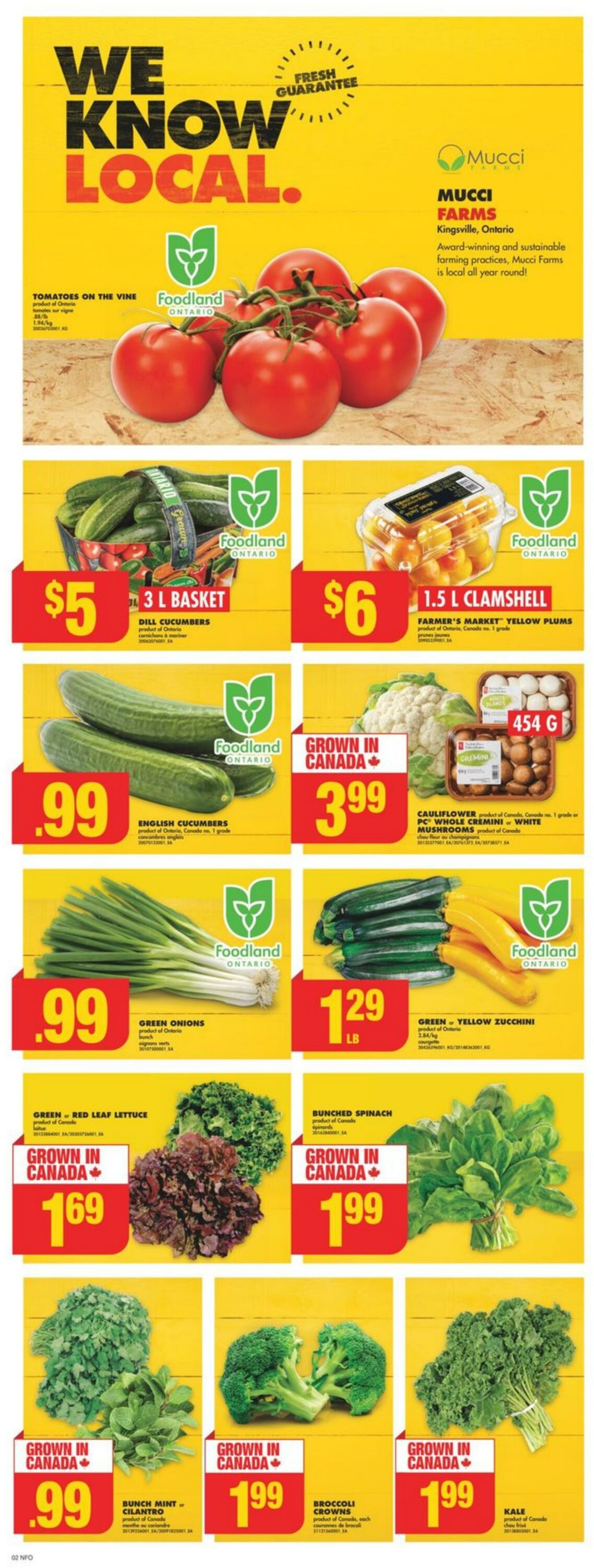 Flyer No Frills 11.07.2024 - 17.07.2024