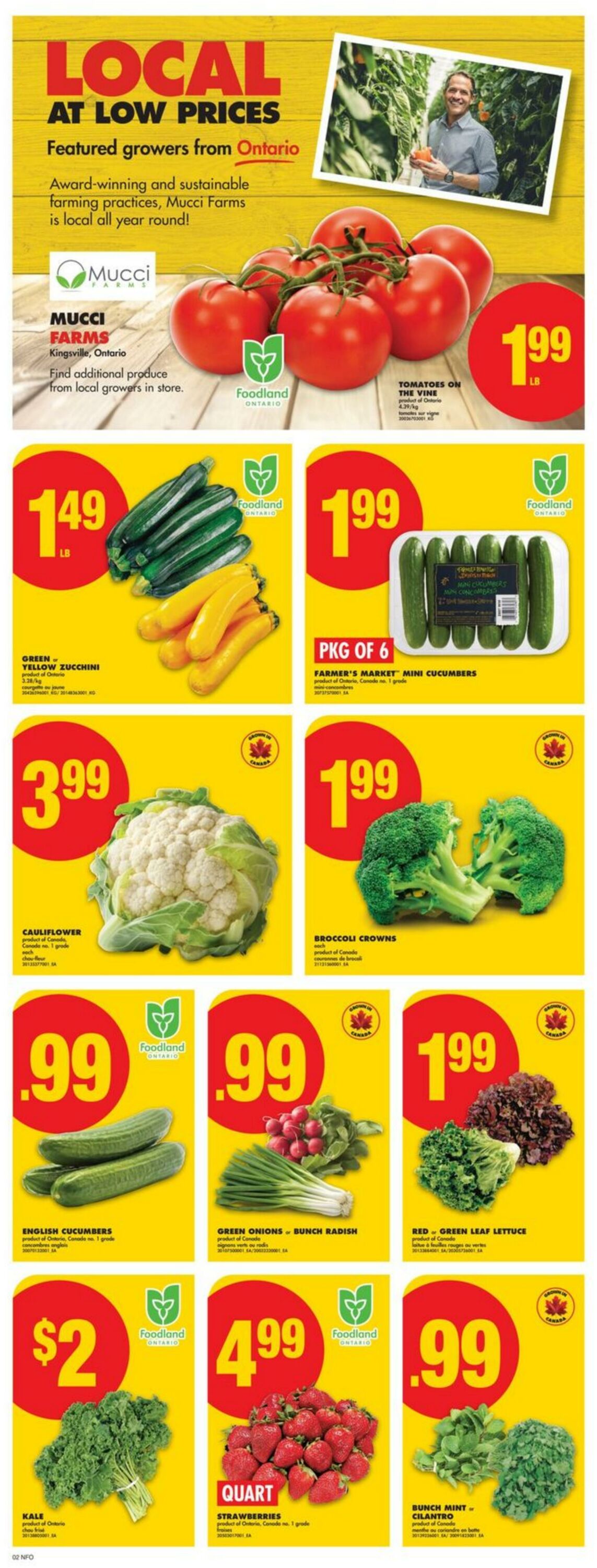 Flyer No Frills 10.07.2025 - 16.07.2025