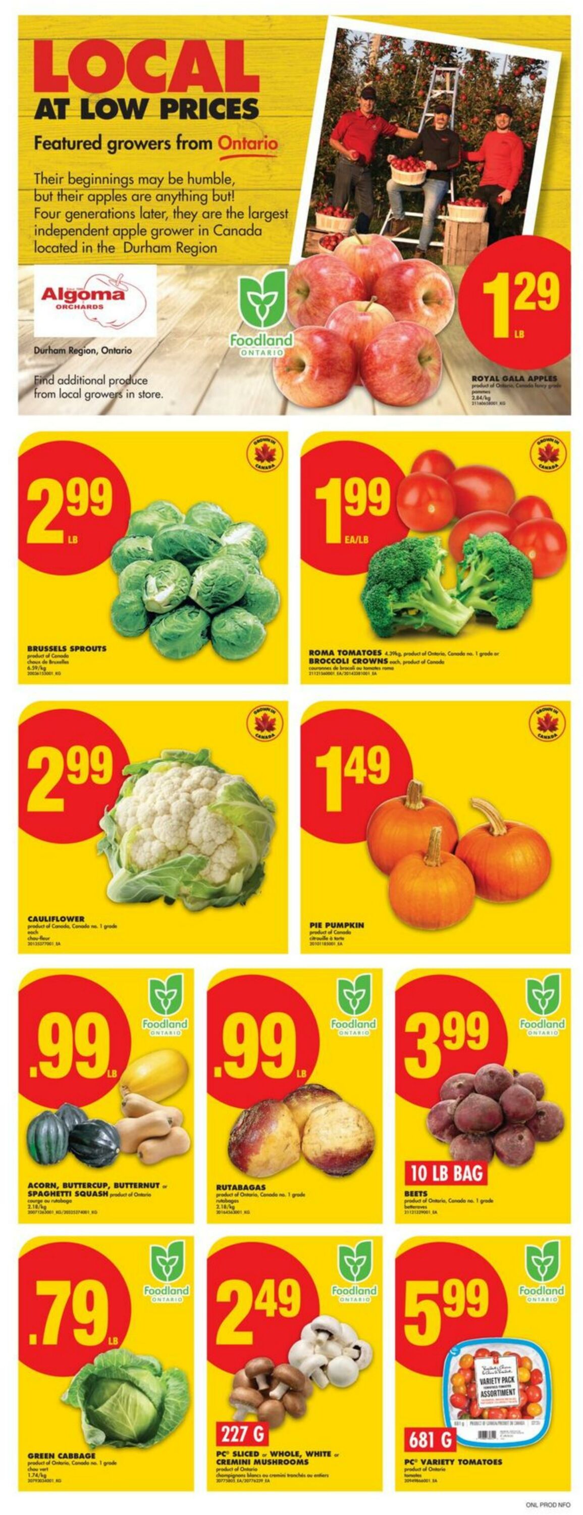 Flyer No Frills 25.09.2025 - 01.10.2025