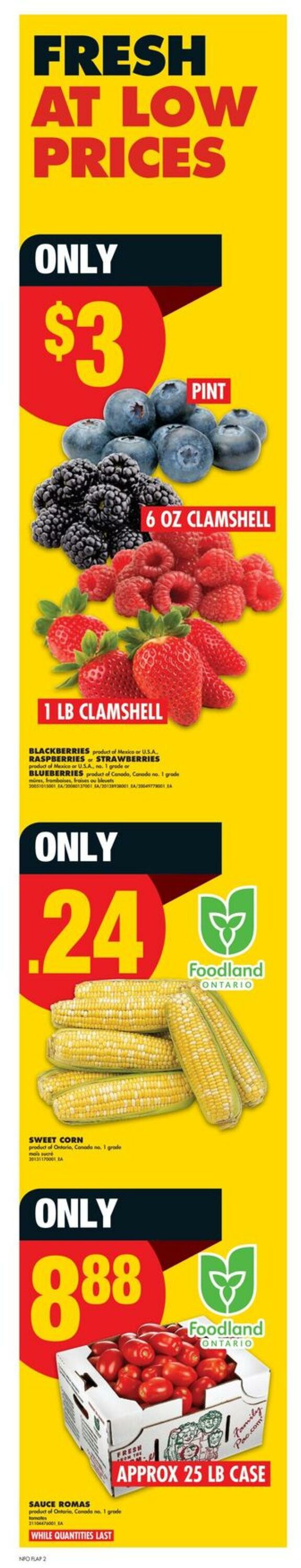 Flyer No Frills 28.08.2025 - 03.09.2025