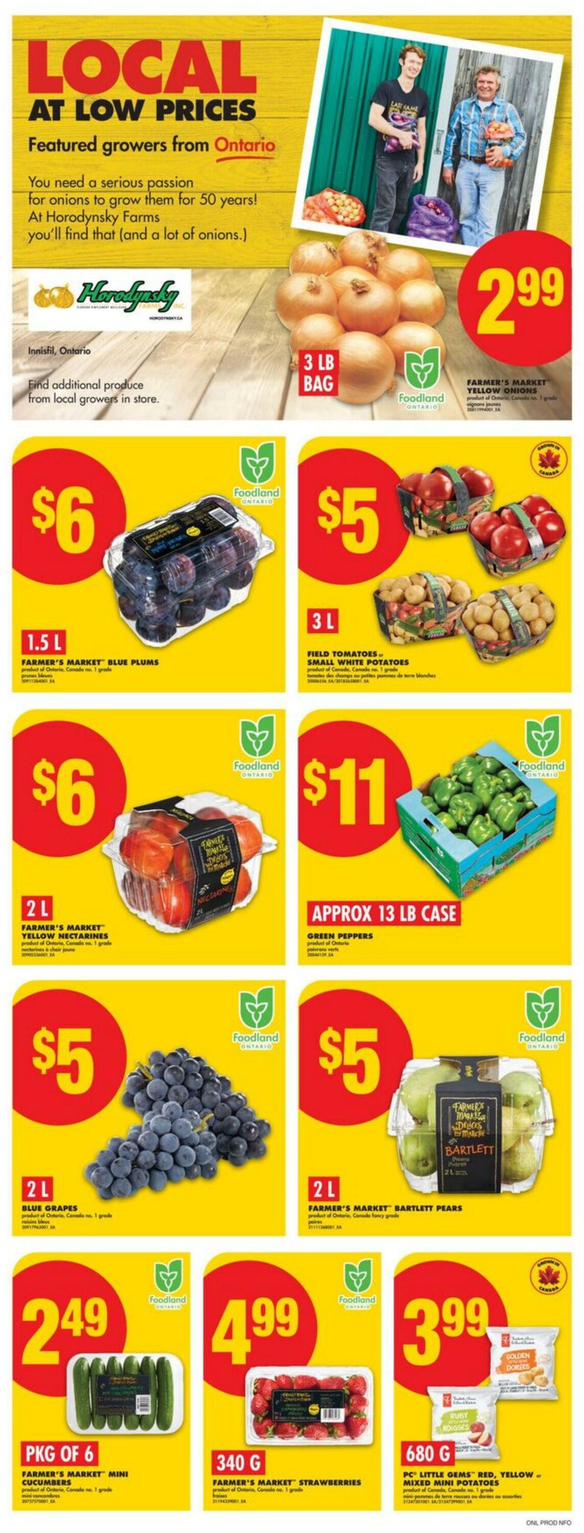 Flyer No Frills 28.08.2025 - 03.09.2025
