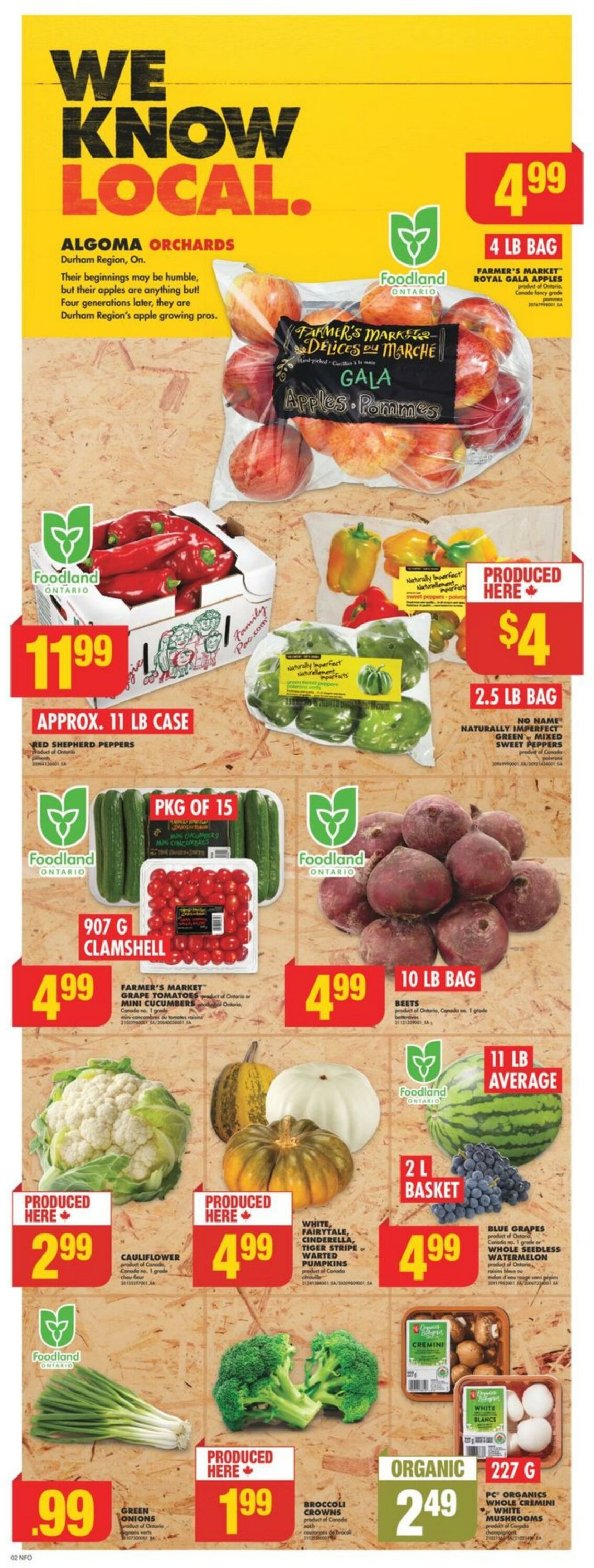 Flyer No Frills 14.09.2023 - 20.09.2023