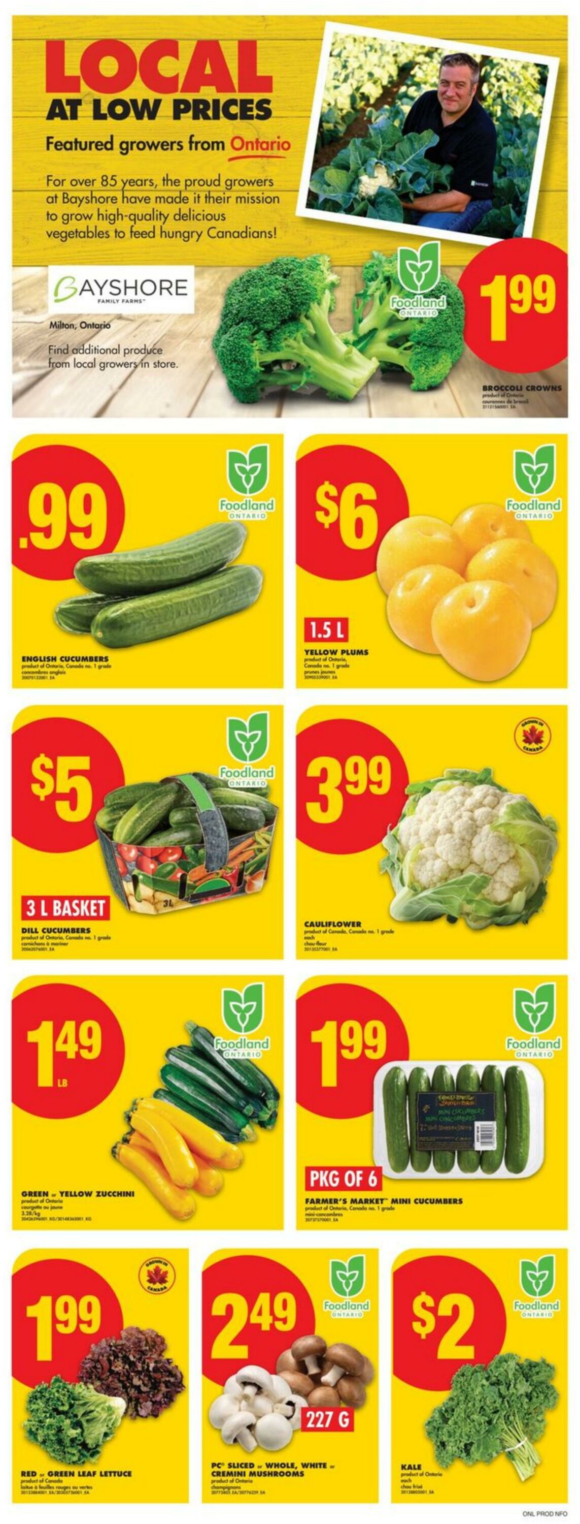 Flyer No Frills 17.07.2025 - 23.07.2025