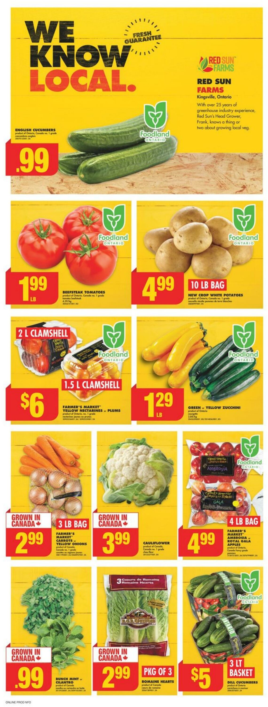 Flyer No Frills 25.07.2024 - 31.07.2024