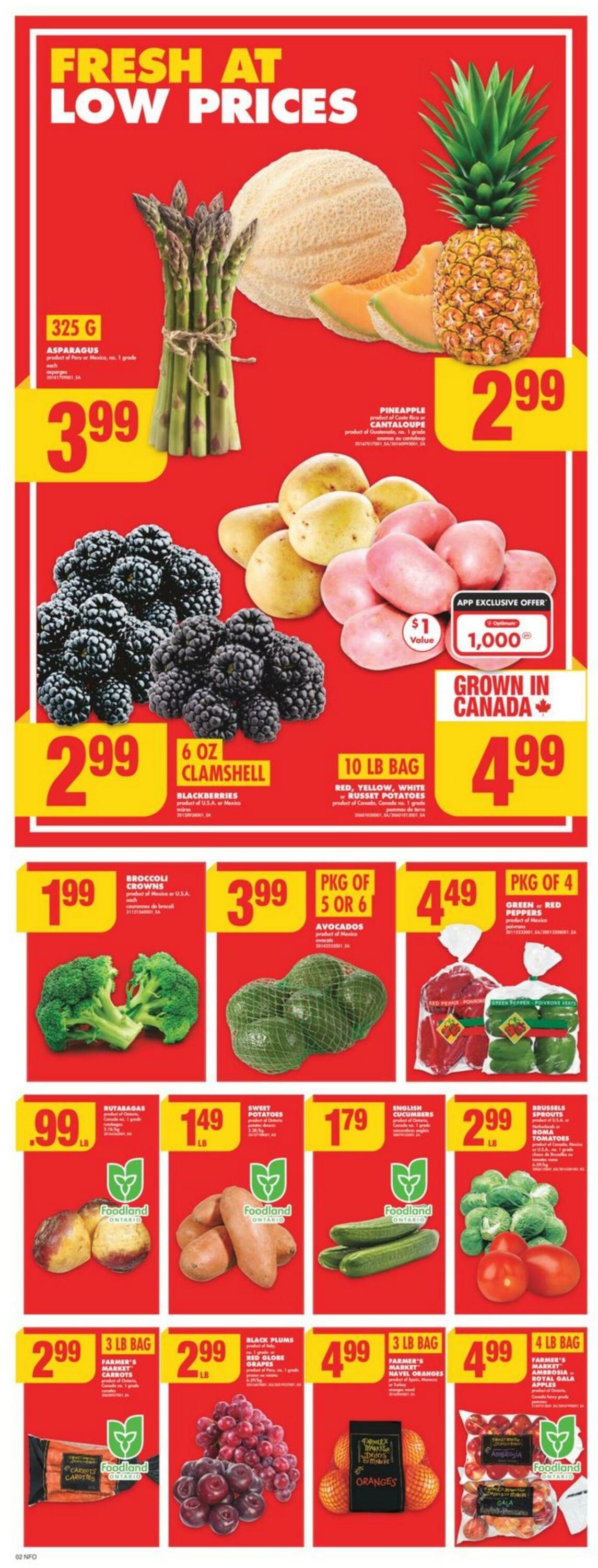 Flyer No Frills 12.12.2024 - 18.12.2024