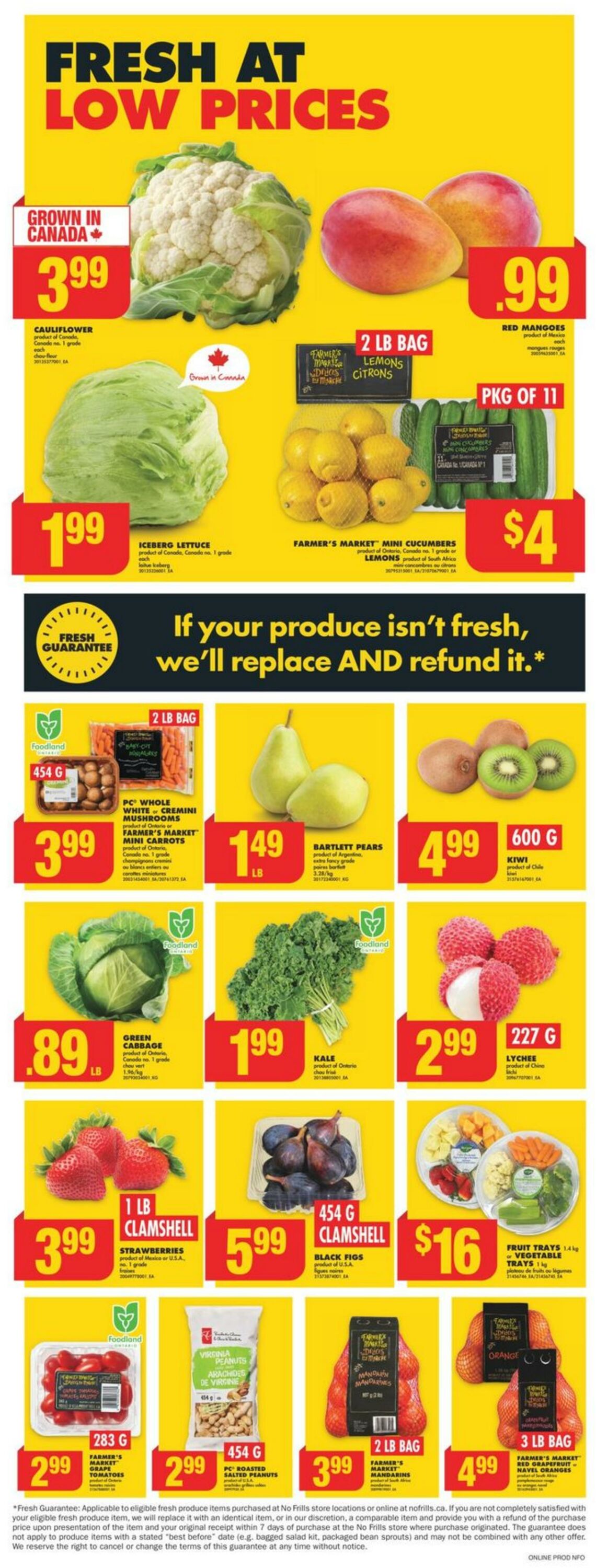 Flyer No Frills 01.08.2024 - 07.08.2024