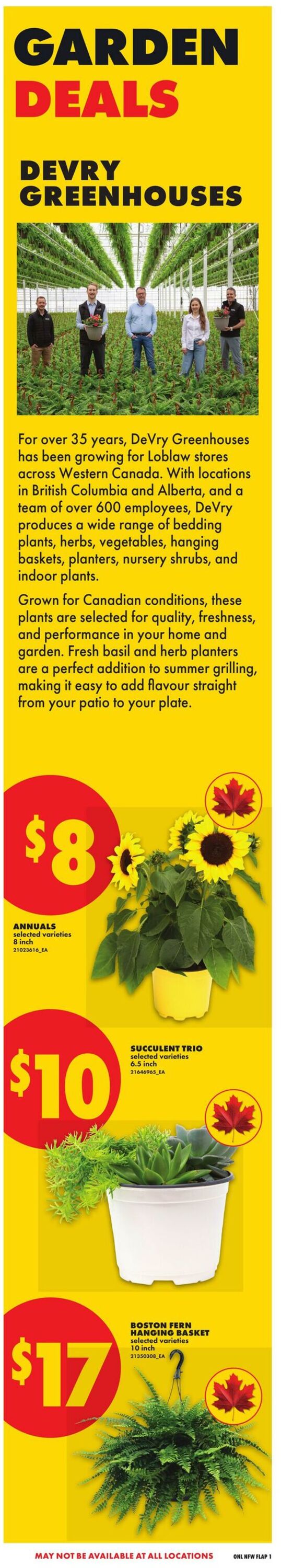 Flyer No Frills 28.05.2026 - 03.06.2026