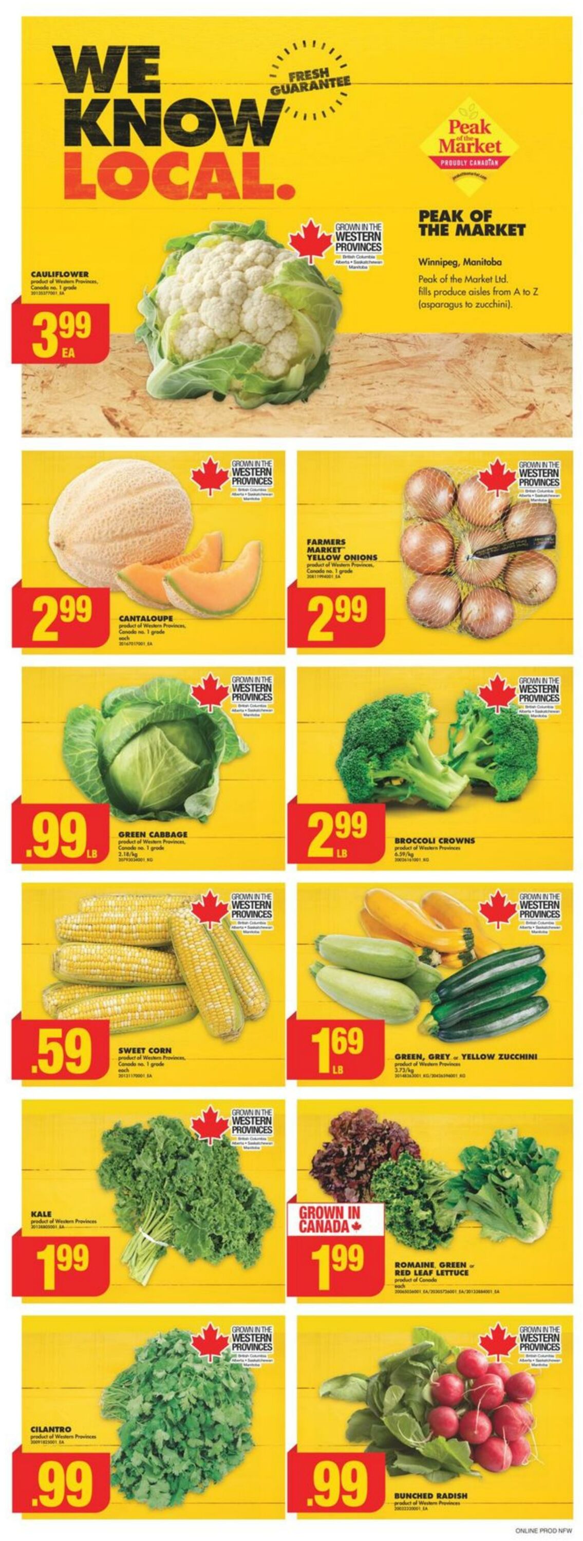 Flyer No Frills 08.08.2024 - 14.08.2024