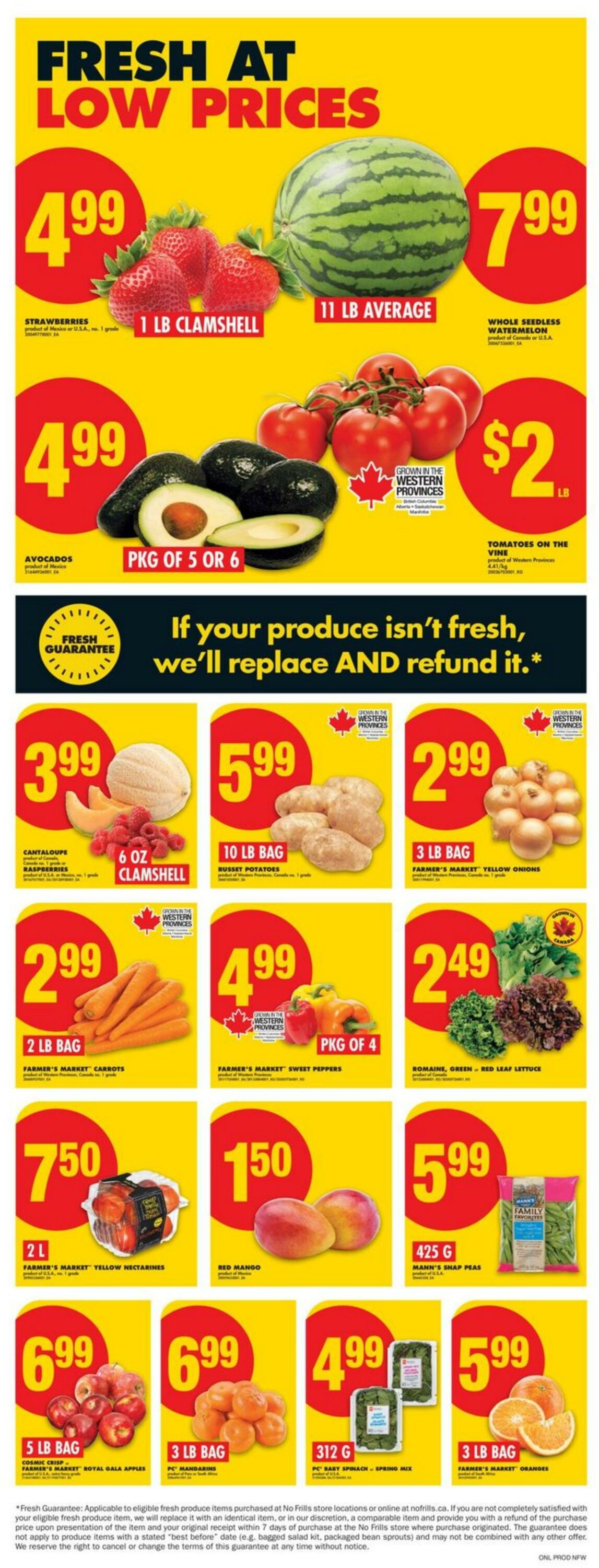 Flyer No Frills 07.08.2025 - 13.08.2025