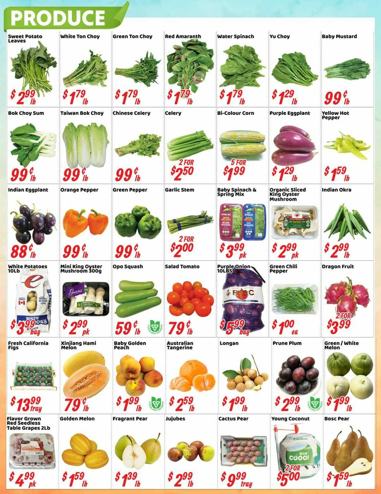 Flyer Oceans Fresh Food Market 22.08.2025 - 28.08.2025