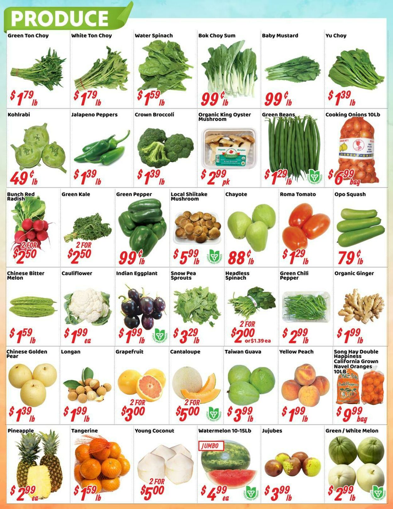 Flyer Oceans Fresh Food Market 08.08.2025 - 14.08.2025