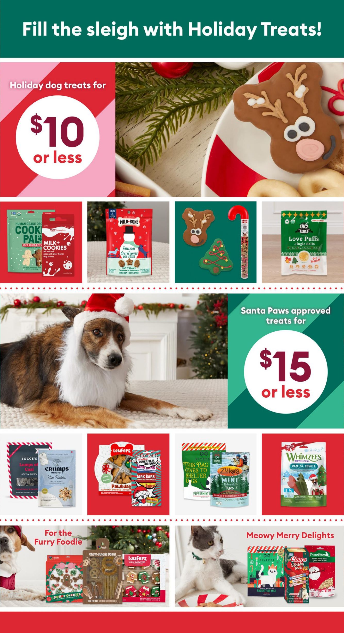 Flyer PetSmart 10.12.2025 - 24.12.2025