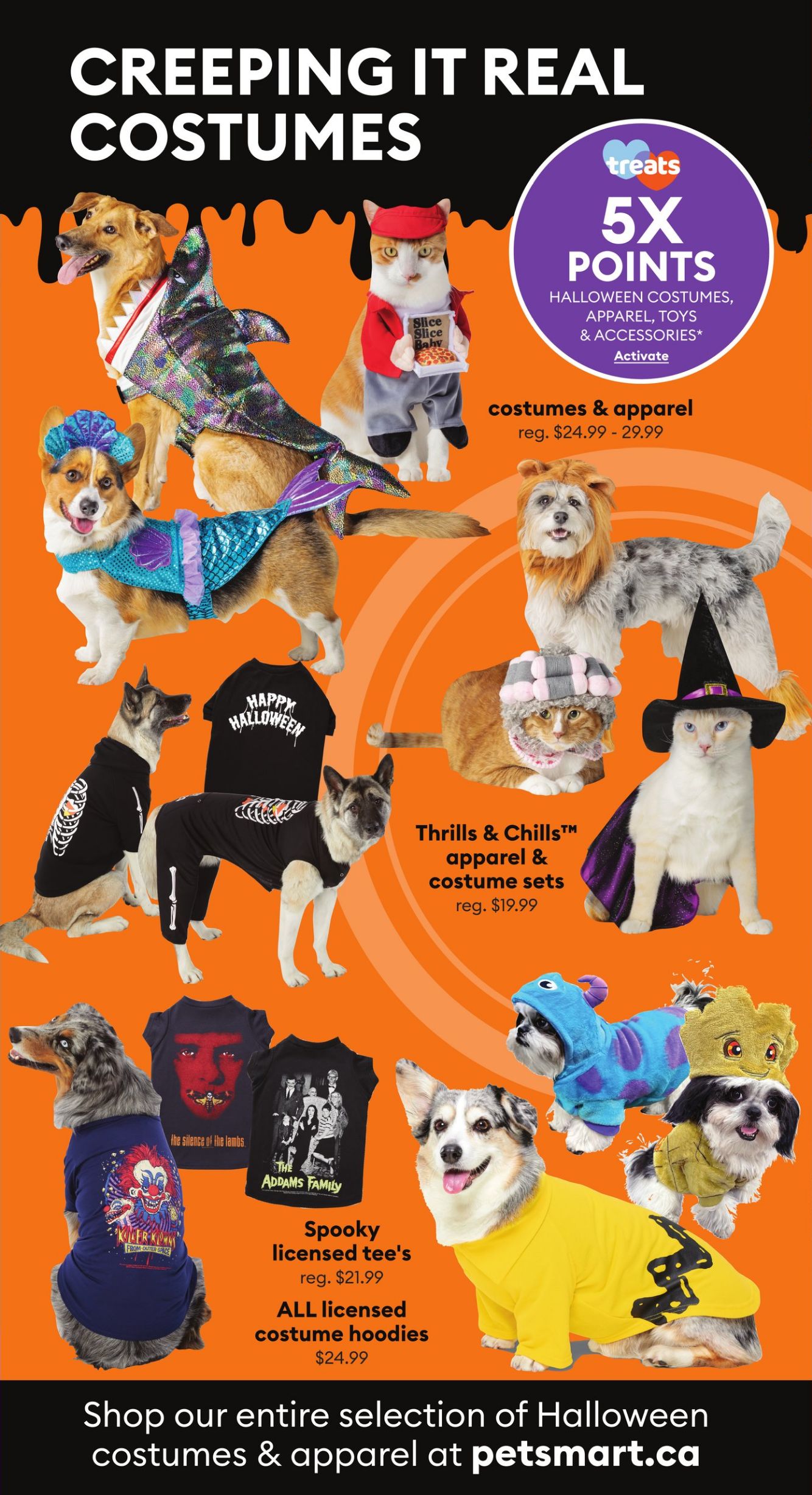 Flyer PetSmart 28.08.2023 - 01.10.2023