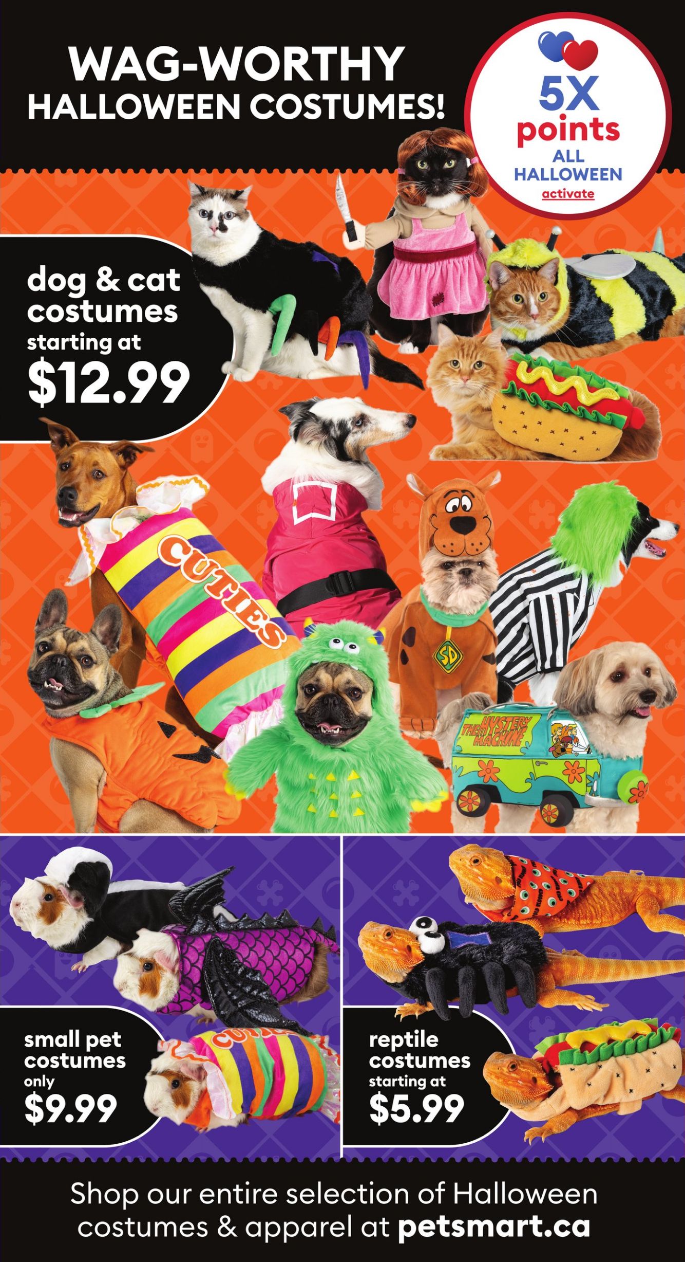 Flyer PetSmart 26.08.2024 - 31.10.2024