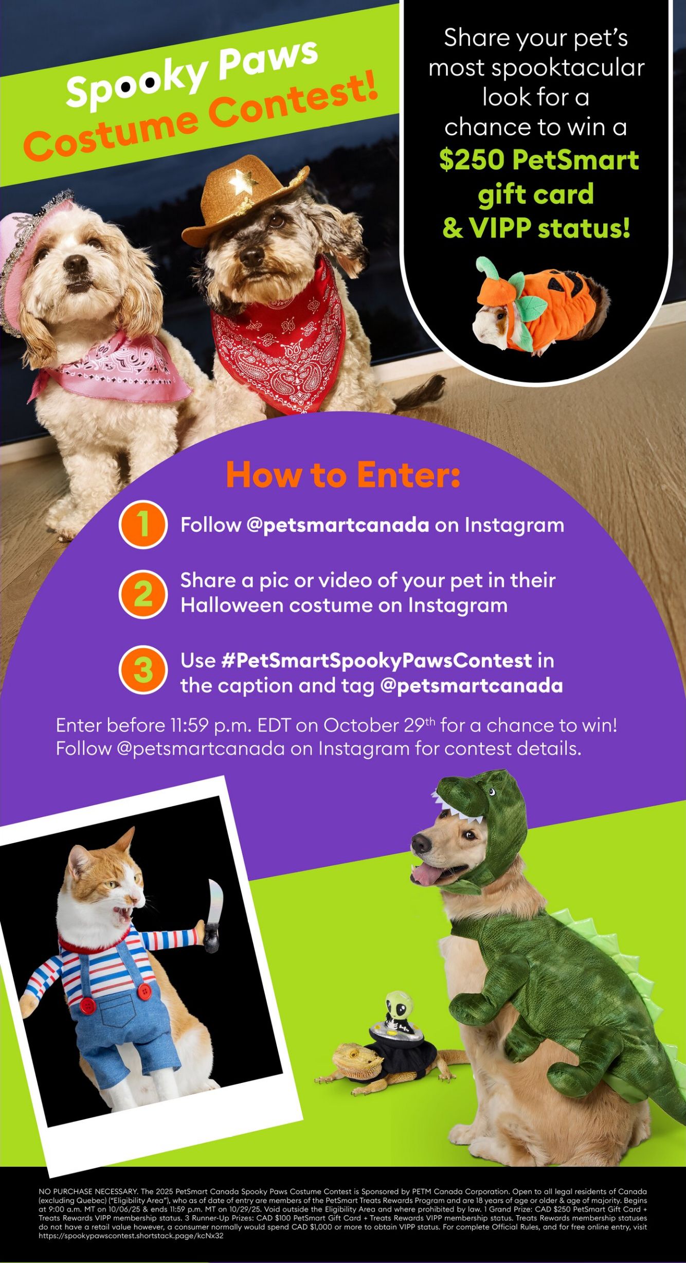 Flyer PetSmart 08.09.2025 - 31.10.2025