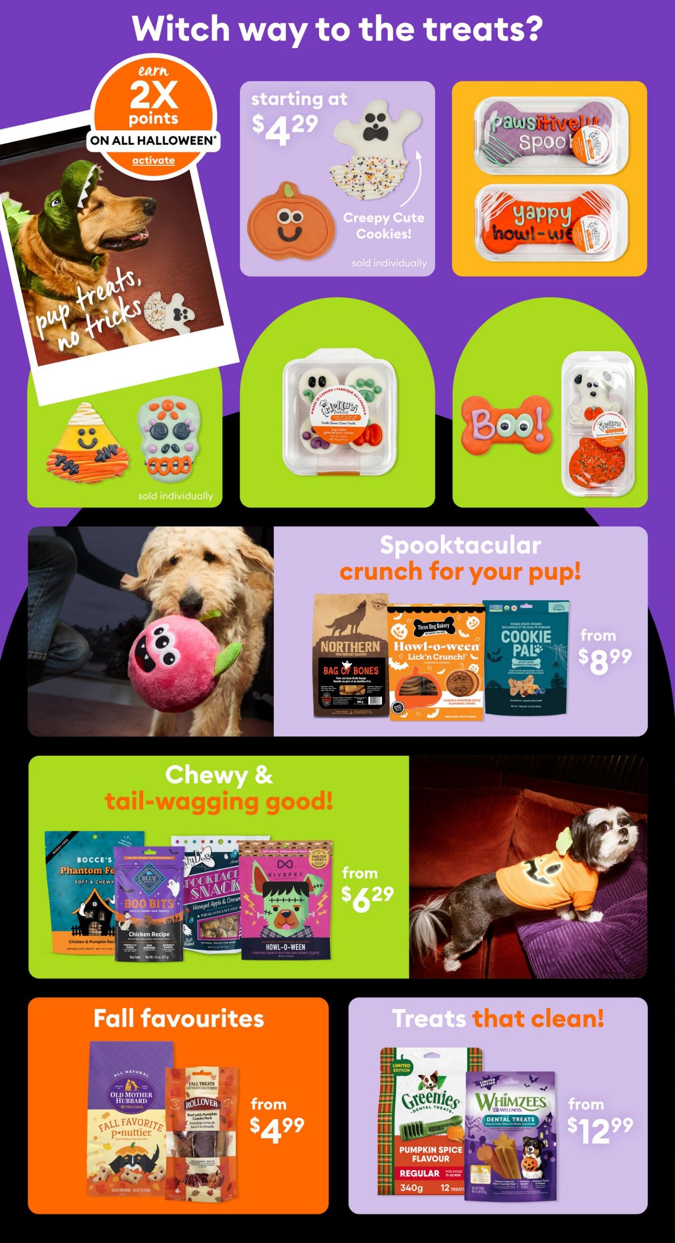Flyer PetSmart 08.09.2025 - 31.10.2025