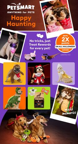 Flyer PetSmart 01.12.2025 - 04.01.2026