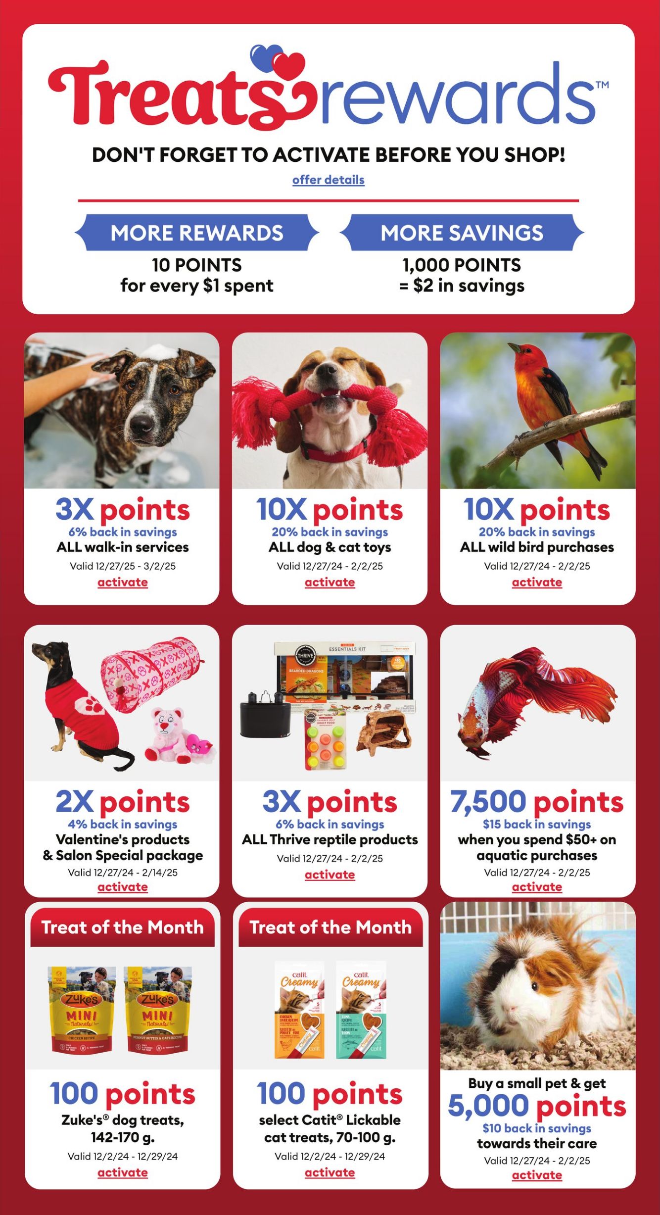 Flyer PetSmart 26.12.2024 - 29.12.2024