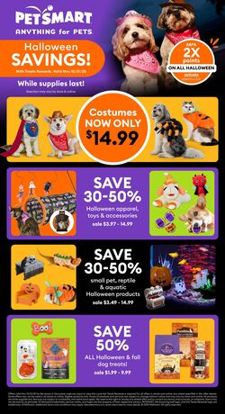 Flyer PetSmart 01.12.2025 - 04.01.2026