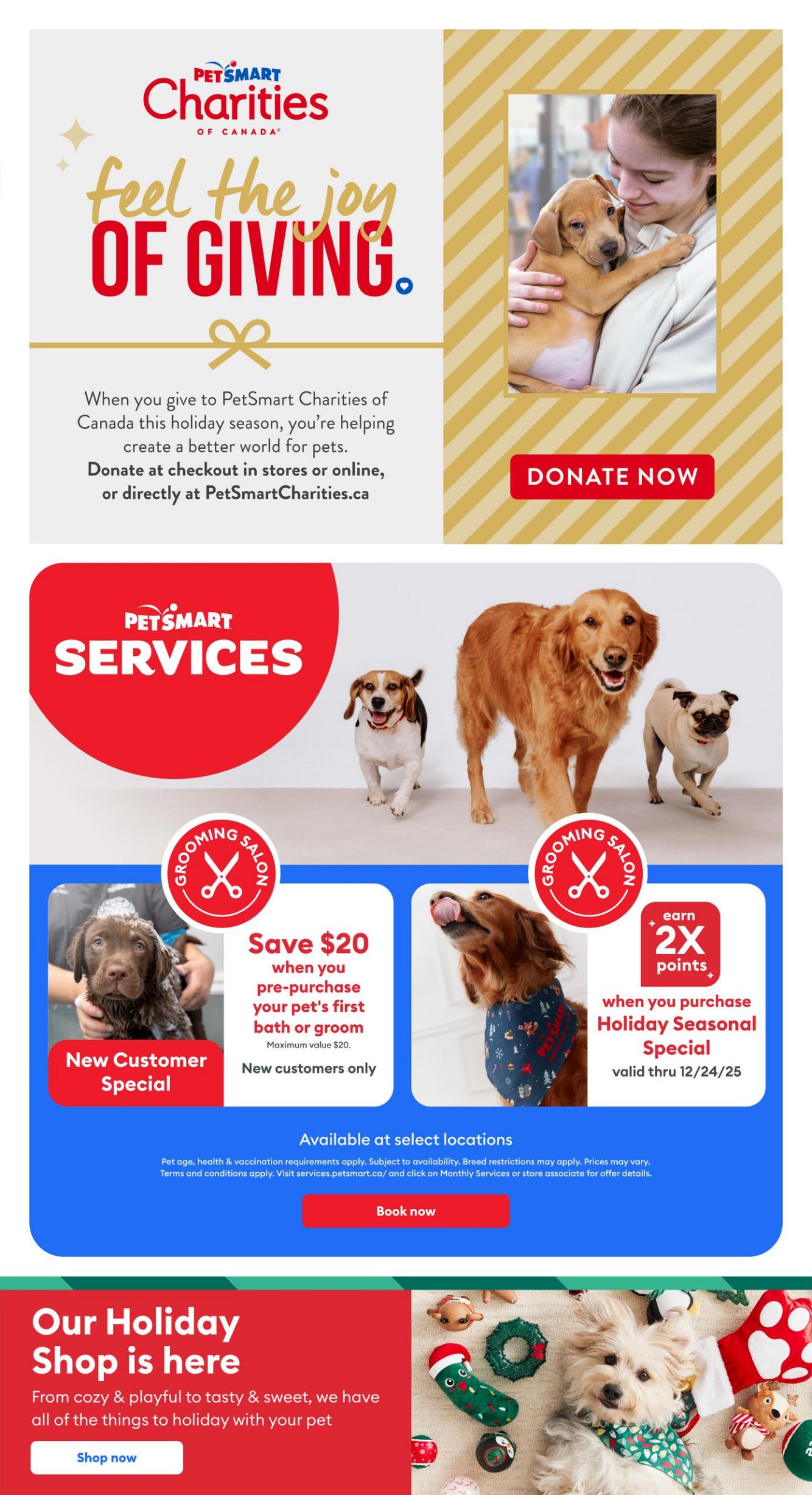 Flyer PetSmart 01.12.2025 - 04.01.2026