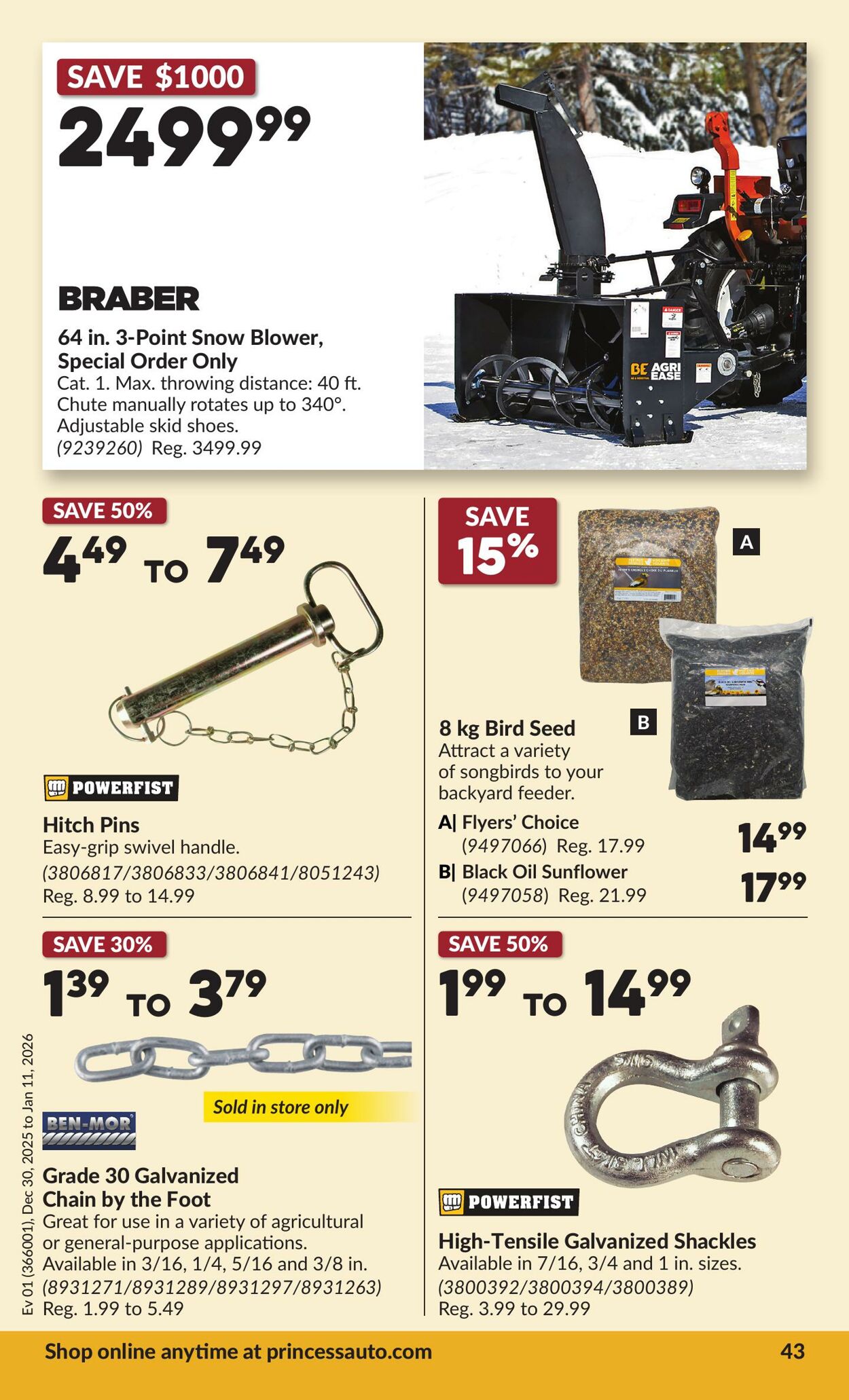 Flyer Princess Auto 30.12.2025 - 11.01.2026