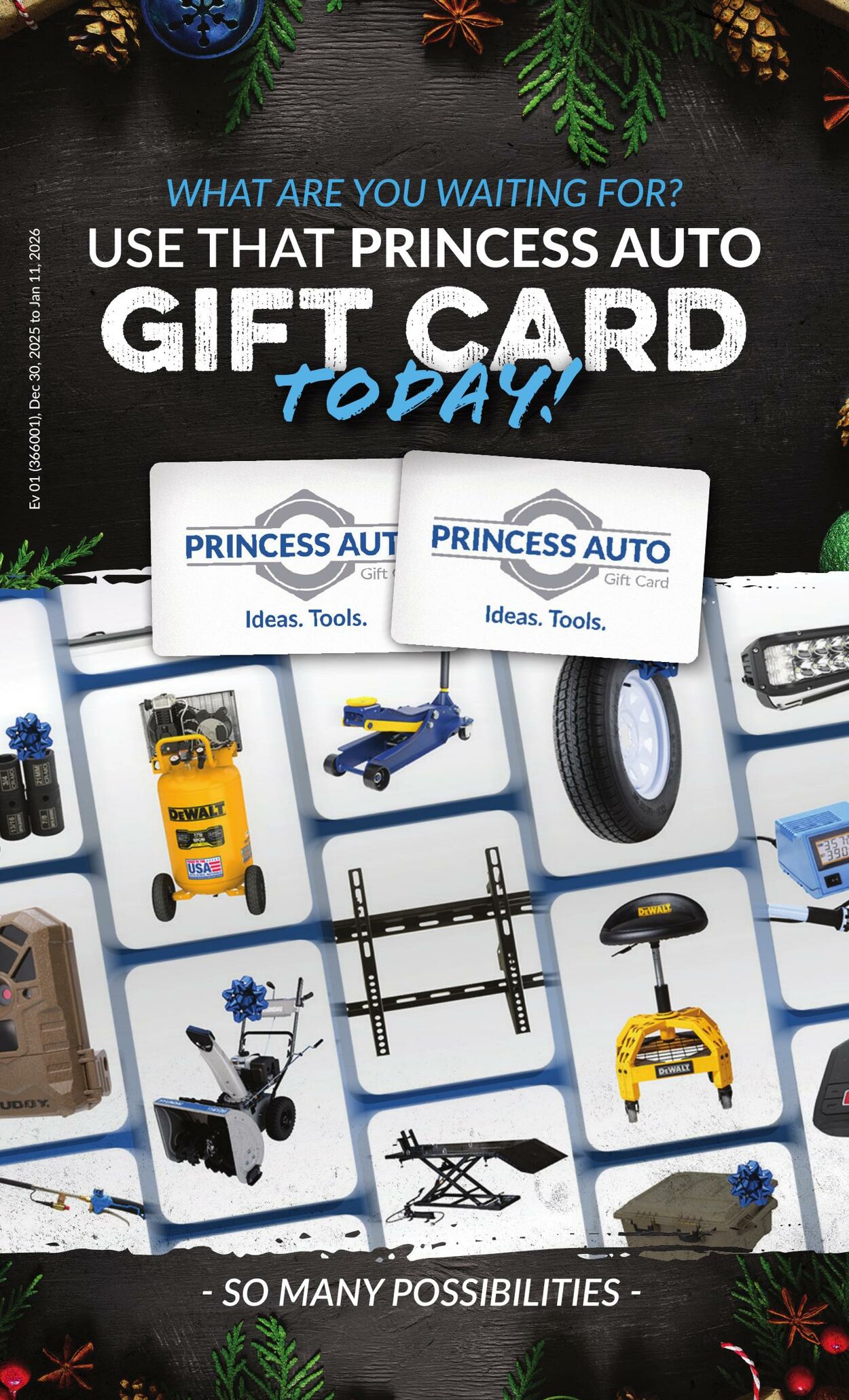 Flyer Princess Auto 30.12.2025 - 11.01.2026