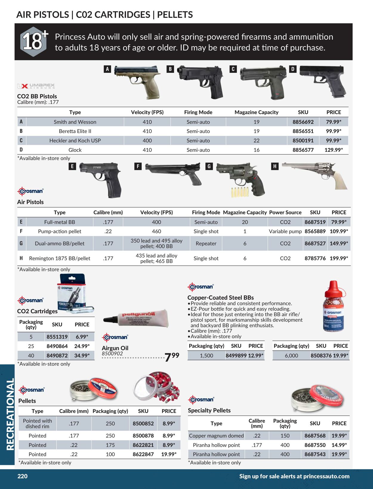 Flyer Princess Auto 01.01.2024 - 31.12.2024