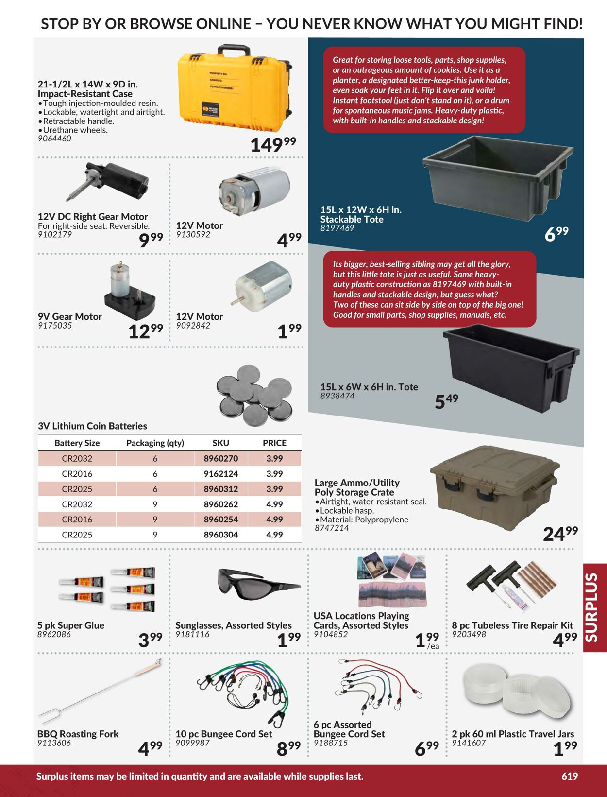 Flyer Princess Auto 01.01.2024 - 31.12.2024