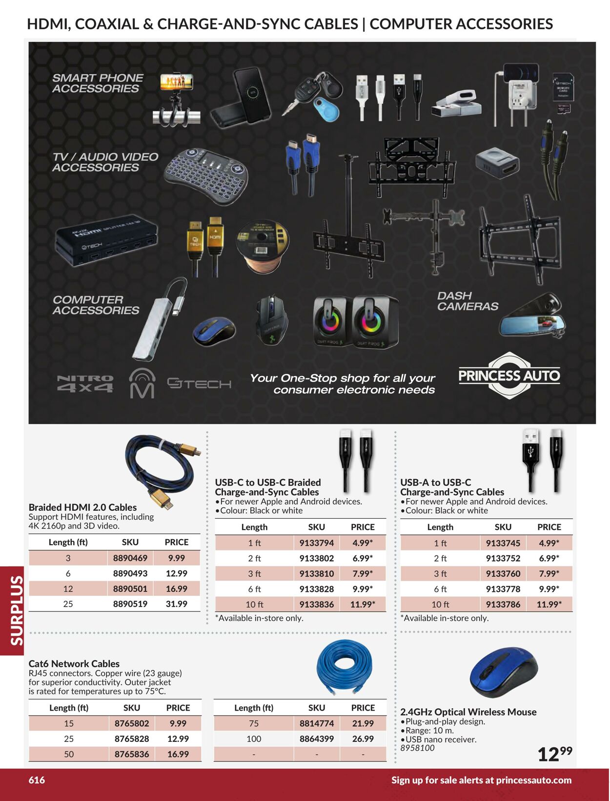 Flyer Princess Auto 01.01.2024 - 31.12.2024