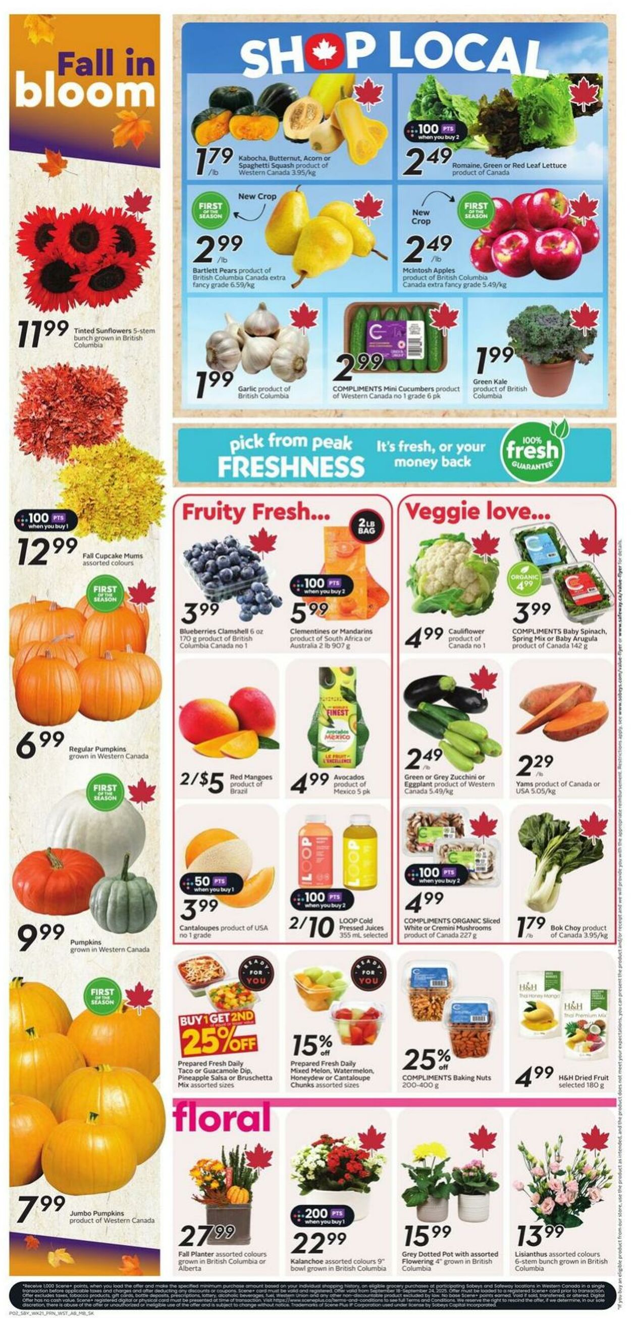 Flyer Safeway 18.09.2025 - 24.09.2025