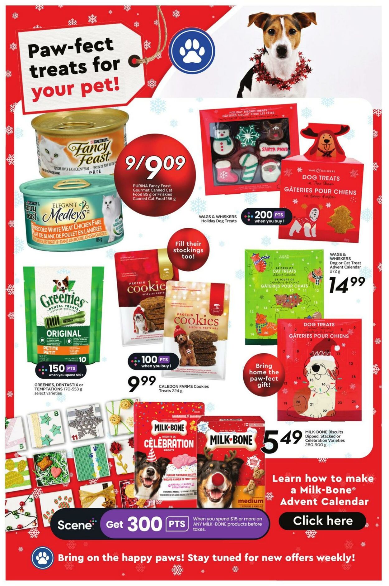 Flyer Safeway 09.11.2023 - 15.11.2023