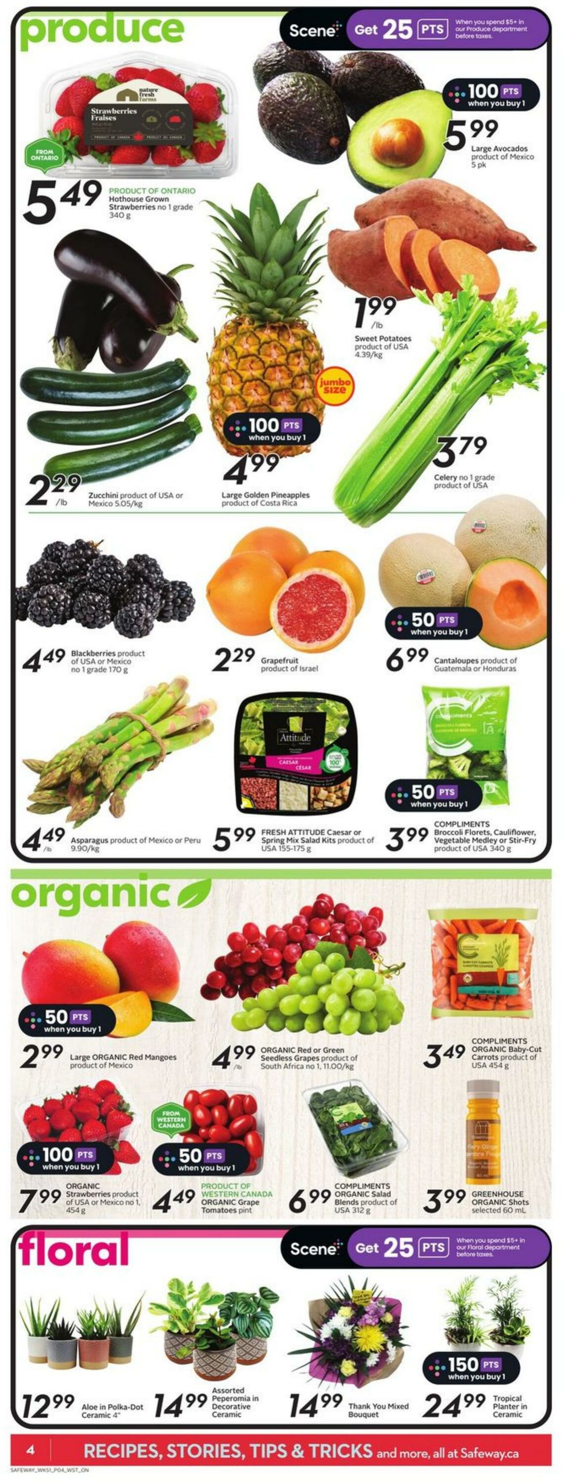 Flyer Safeway 20.04.2023 - 26.04.2023