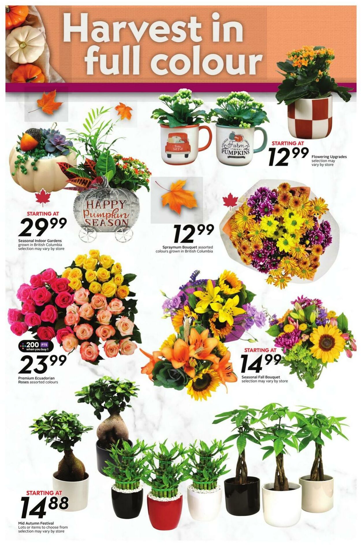 Flyer Safeway 02.10.2025 - 08.10.2025