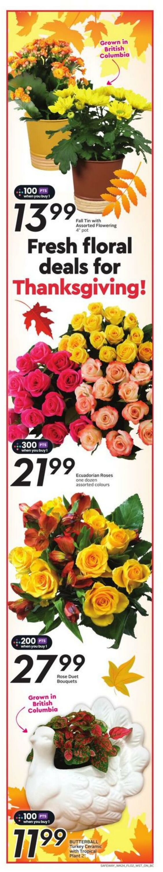 Flyer Safeway 10.10.2024 - 16.10.2024