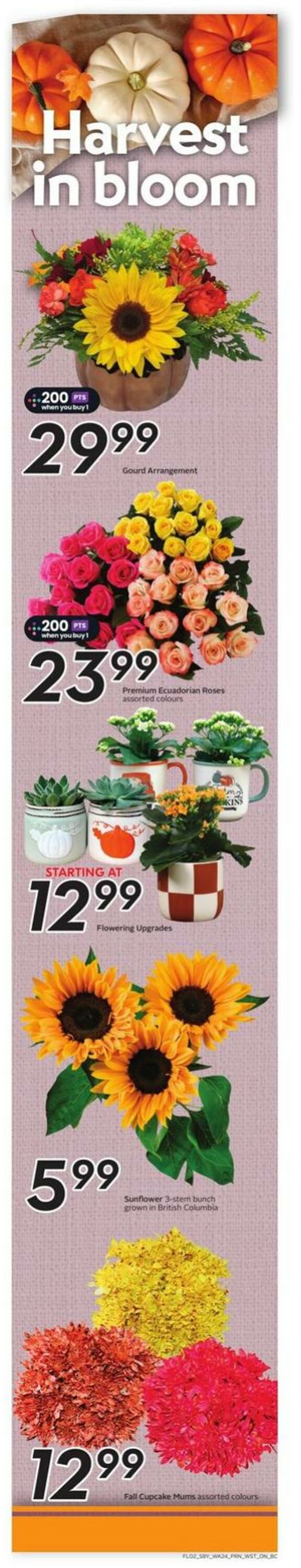 Flyer Safeway 09.10.2025 - 15.10.2025
