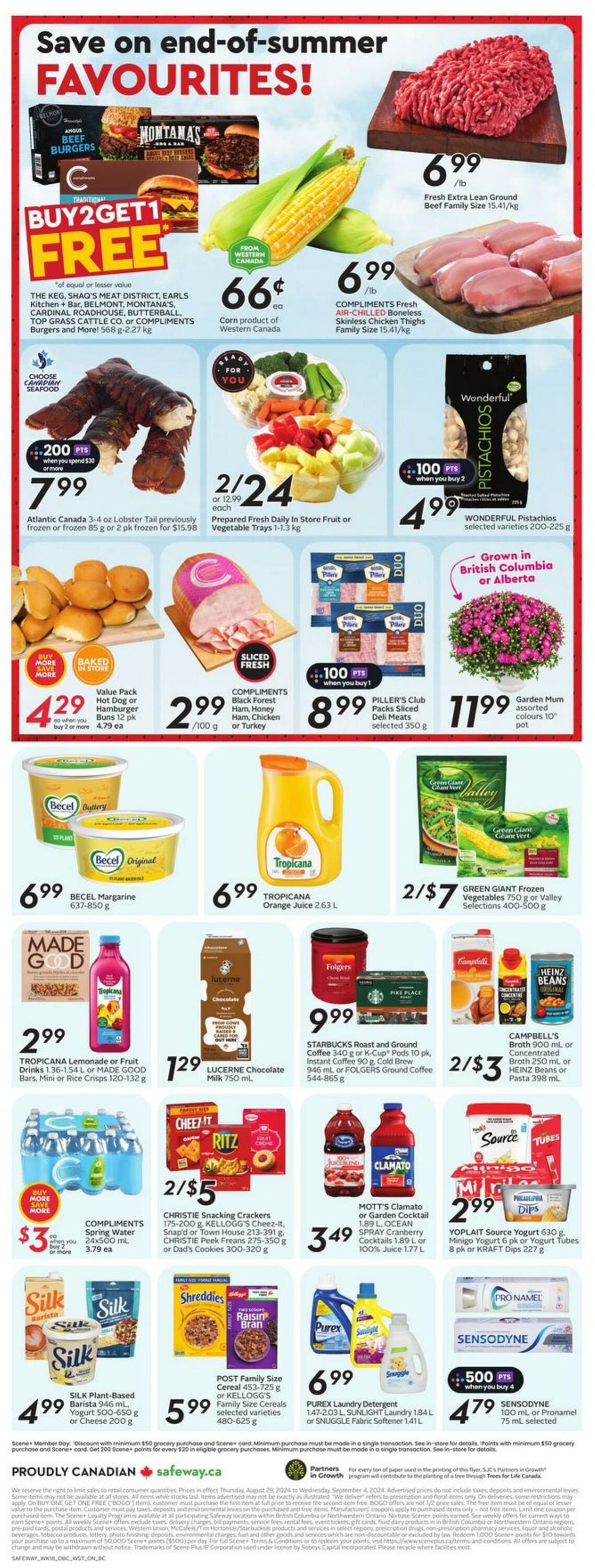 Flyer Safeway 29.08.2024 - 04.09.2024