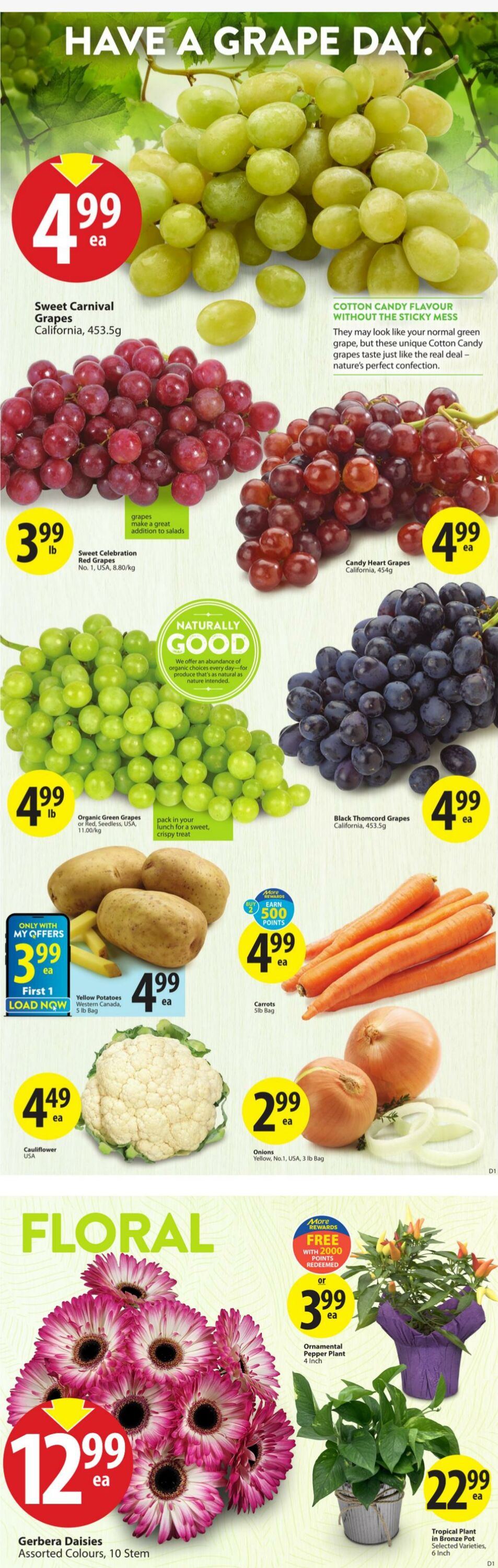 Flyer Save-On-Foods 19.09.2024 - 25.09.2024