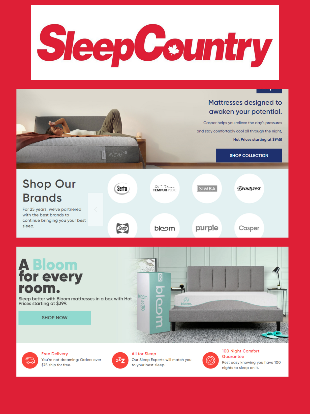 Sleep Country Promotional flyers