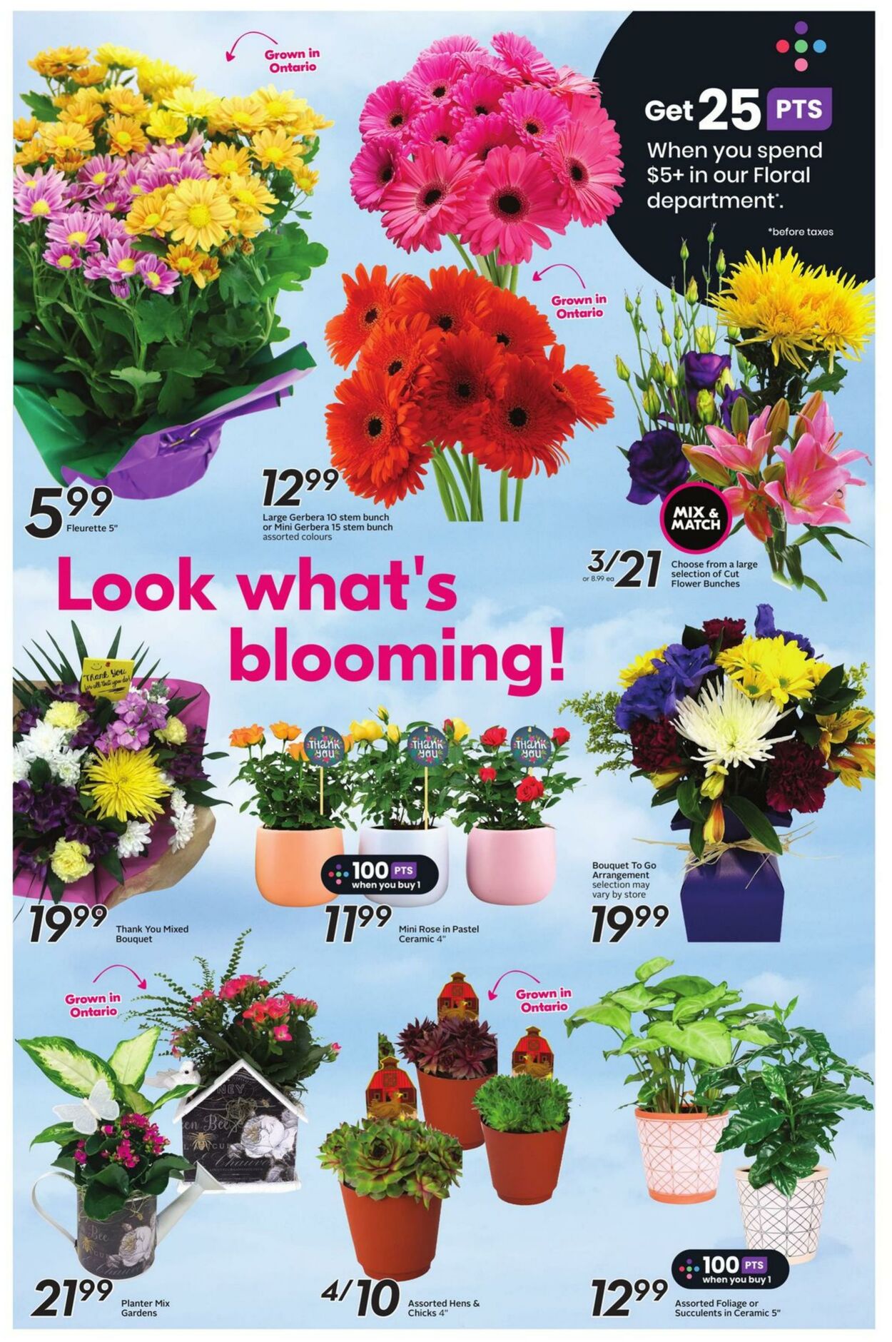 Flyer Sobeys 20.04.2023 - 26.04.2023