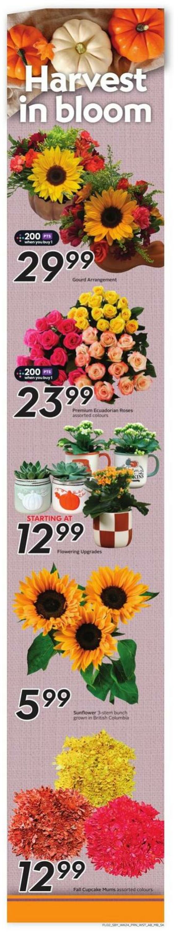 Flyer Sobeys 09.10.2025 - 15.10.2025