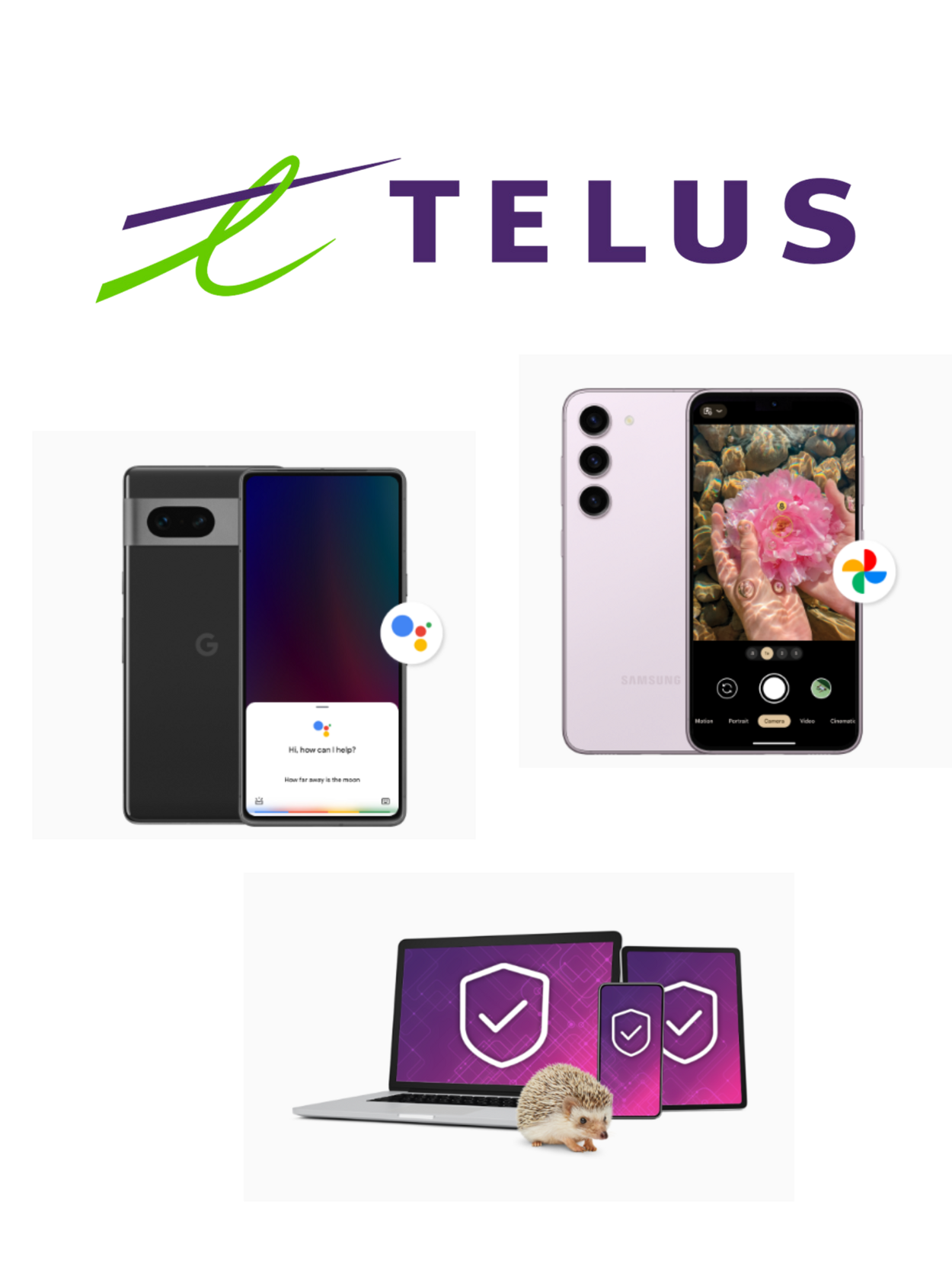 Telus Promotional flyers