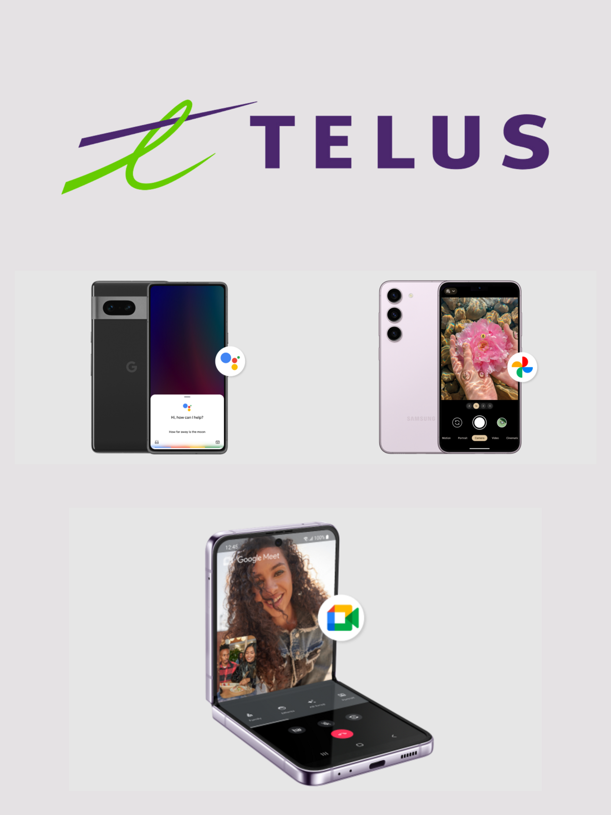 Telus Promotional flyers